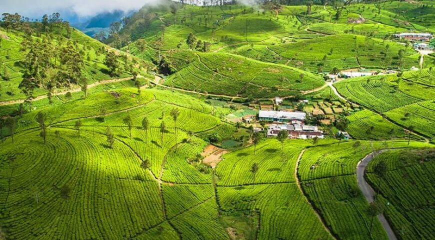 Best time to visit Sri Lanka – Lanka Travel